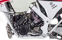 GASGAS ECRanger 300 2019 - Bild 6